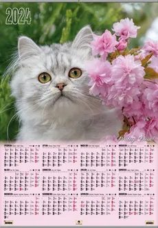 Kalendarz 2024 plakatowy z listwą Kot