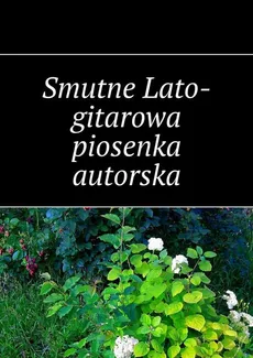 Smutne Lato-gitarowa piosenka autorska - Lato Smutne