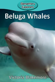 Beluga Whales - Victoria Blakemore