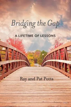 Bridging the Gap - Pat Potts