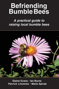 Befriending  Bumble Bees - Elaine Evans