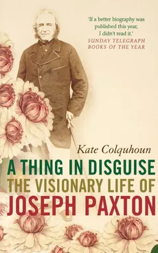 A Thing in Disguise - Kate Colquhoun