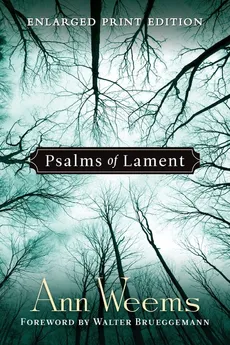 Psalms of Lament - Ann Weems