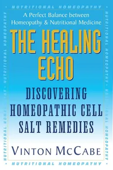 The Healing Echo - Vinton McCabe