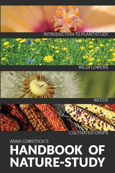 The Handbook Of Nature Study in Color - Wildflowers, Weeds & Cultivated Crops - Anna B Comstock