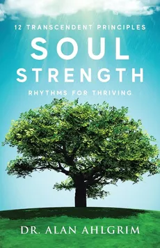 Soul Strength - Alan Ahlgrim