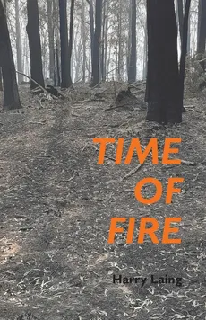 Time of Fire - Harry Laing