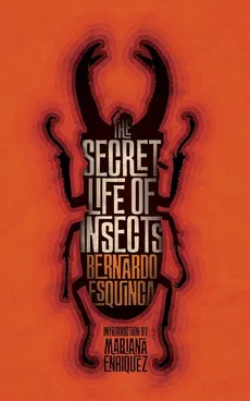 The Secret Life of Insects and Other Stories - Bernardo Esquinca