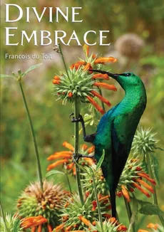 DIVINE EMBRACE New, 30 Chapter, 458page Revised Edition - TOIT Francois DU