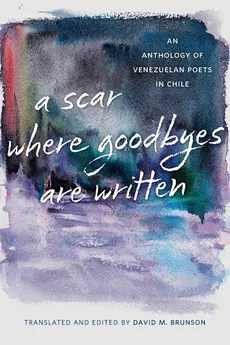 Scar Where Goodbyes Are Written - David M Brunson