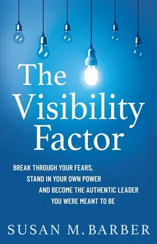 The Visibility Factor - Susan  M. Barber