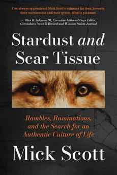 Stardust and Scar Tissue - Mick Scott