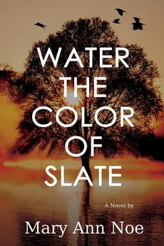 Water the Color of Slate - Mary Ann Noe