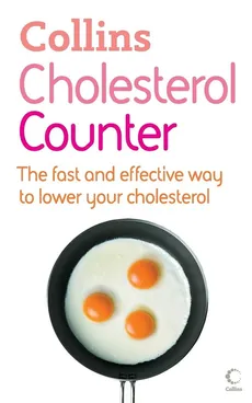 Cholesterol Counter - Kate Santon
