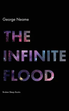 The Infinite Flood - George Neame
