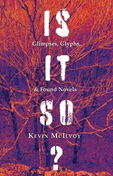 Is It So? Glimpses, Glyphs, & Found Novels - Kevin McIlvoy