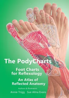 The PodyCharts Foot Charts for Reflexology - Annie Trigg