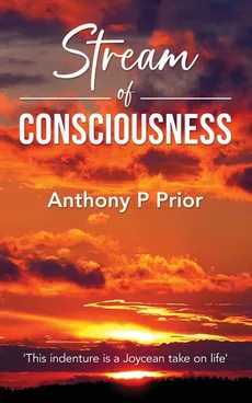 Stream of Consciousness - Anthony P Prior