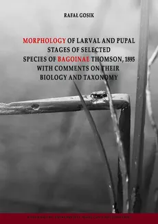 Morphology of Larval and Pulpal Stages of Selected Species of Bagoinae Thomson, 1895 with Comments on Their Biology and Taxonomy - Rafał Gosik