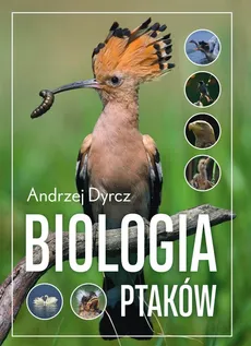 Biologia ptaków - Outlet - Andrzej Dyrcz