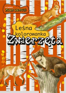 Zwierzęta Leśna kolorowanka - Katarzyna Kopiec-Sekieta