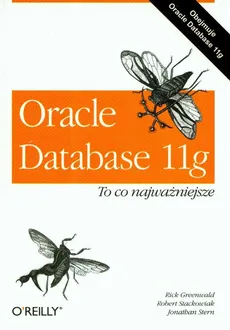 Oracle Database 11g to co najważniejsze - Robert Stackowiak, Jonathan Stern, Rick Greenwald