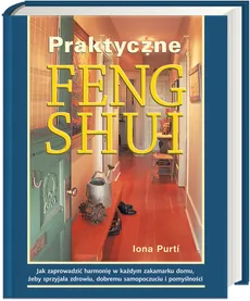 Praktyczne feng shui - Outlet - Iona Putri