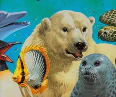 Zwierzęta Morskie