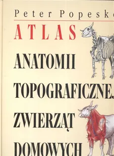 Atlas anatomii topograficznej zwierząt domowych - Outlet - Peter Popesko