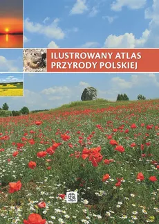 Ilustrowany atlas przyrody polskiej - Marek Kosiński, Renata Krzyściak-Kosińska, Anna Przybyłowicz