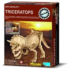 Dino szkielety Triceratops