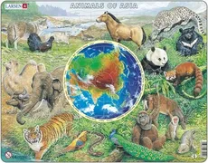 Zwierzęta Azji