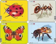 Owady Biedronka / Motyl / Mrówka / Pszczoła
