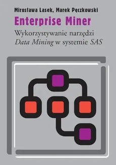 Enterprise Miner - Marek Pęczkowski, Mirosława Lasek