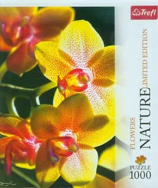 Puzzle 1000 Nature Orchidea