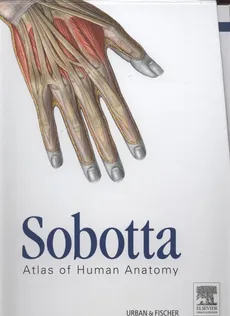 Sobotta Atlas of Human Anatomy 3 vols 15e, English - Outlet