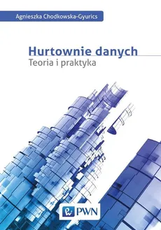 Hurtownie danych - Outlet - Agnieszka Chodkowska-Gyurics