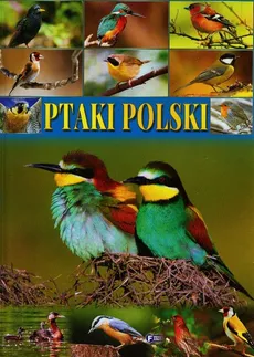 Ptaki polski - Outlet