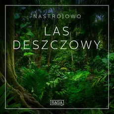 Nastrojowo - Las Deszczowy - Rasmus Broe