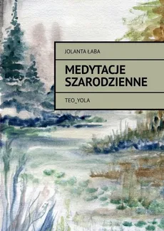 Medytacje szarodzienne - Jolanta Łaba
