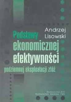Podstawy ekonomicznej efektywności podziemnej eksploatacji złóż - Outlet - Andrzej Lisowski