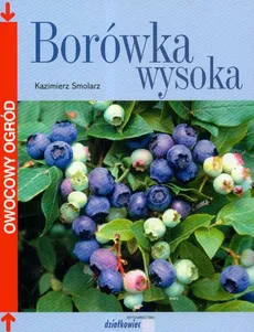 Borówka wysoka - Outlet - Kazimierz Smolarz