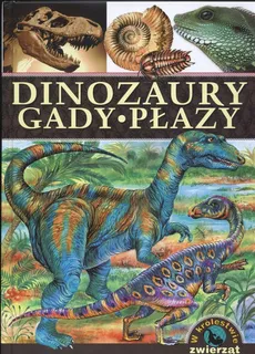Dinozaury Gady Płazy W królestwie zwierząt