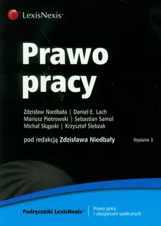 Prawo pracy - Lach Daniel Eryk, Zdzisław Niedbała, Mariusz Piotrowski
