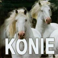 Konie - Outlet