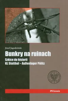 Bunkry na ruinach Szkice do historii - Józef Jagodziński
