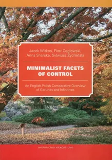 Minimalist Facets of Control - Piotr Cegłowski, Anna Snarska, Jacek Witkoś, Sylwiusz Żychliński