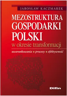 Mezostruktura gospodarki Polski w okresie transformacji - Jarosław Kaczmarek