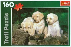 Puzzle 160 Małe Labradory