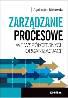 Zarządzanie procesowe we współczesnych organizacjach - Outlet - Agnieszka Bitkowska